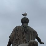 IMG_6586